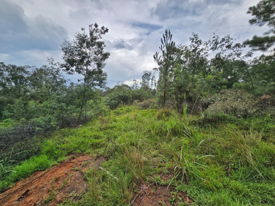 Commercial Property for Sale in Wilderness Heights Western Cape